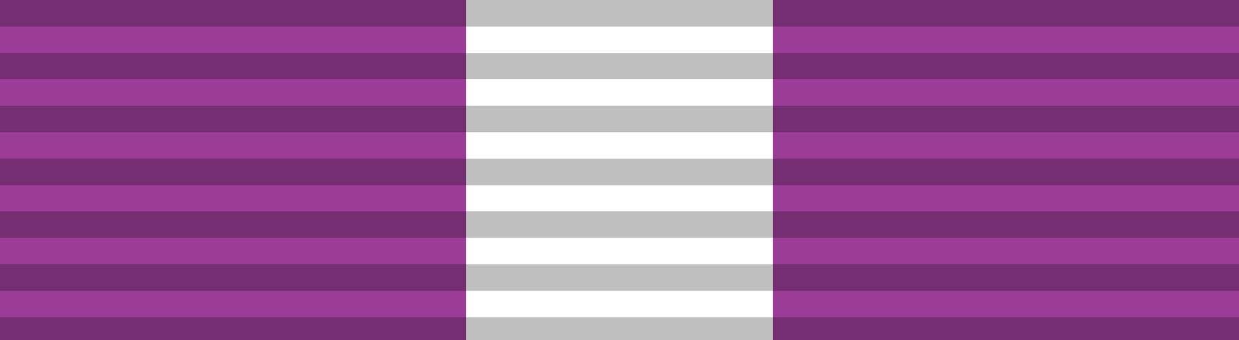 10 years Service Medal (Pakistan Armed Forces) - a purple and white striped pattern